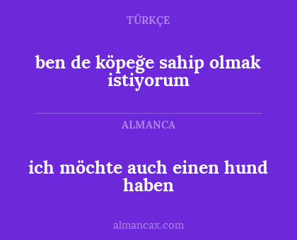 ich möchte auch einen hund haben - ben de köpeğe sahip olmak istiyorum