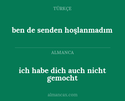 ben de senden hoşlanmadım - ich habe dich auch nicht gemocht