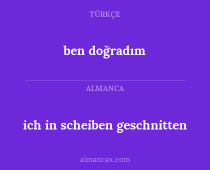 ich in scheiben geschnitten - ben doğradım
