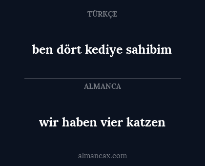 ben dört kediye sahibim - wir haben vier katzen