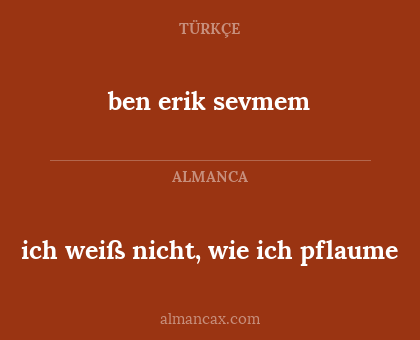 ben erik sevmem - ich weiß nicht, wie ich pflaume
