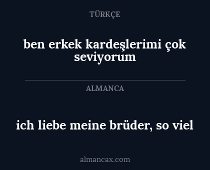 ich liebe meine brüder, so viel - ben erkek kardeşlerimi çok seviyorum