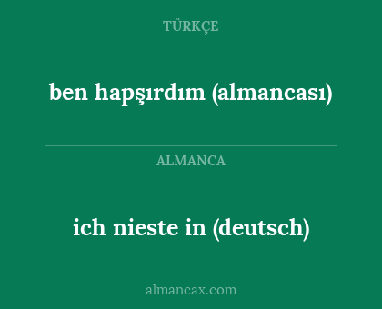 ben hapşırdım (almancası) - ich nieste in (deutsch)