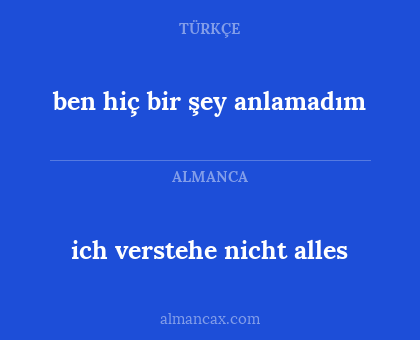 ben hiç bir şey anlamadım - ich verstehe nicht alles