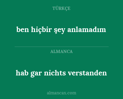 ben hiçbir şey anlamadım - hab gar nichts verstanden