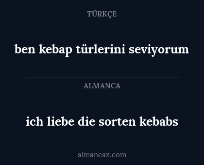 ich liebe die sorten kebabs - ben kebap türlerini seviyorum