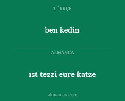 ben kedin - ıst tezzi eure katze
