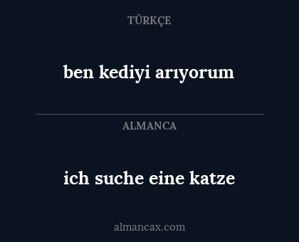 ben kediyi arıyorum - ich suche eine katze