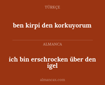 ben kirpi den korkuyorum - ich bin erschrocken über den igel