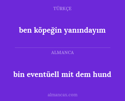 bin eventüell mit dem hund - ben köpeğin yanındayım