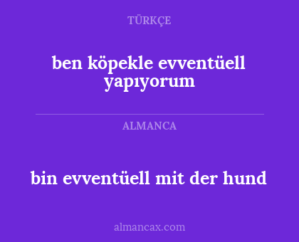 ben köpekle evventüell yapıyorum - bin evventüell mit der hund
