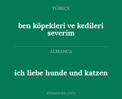 ich liebe hunde und katzen - ben köpekleri ve kedileri severim