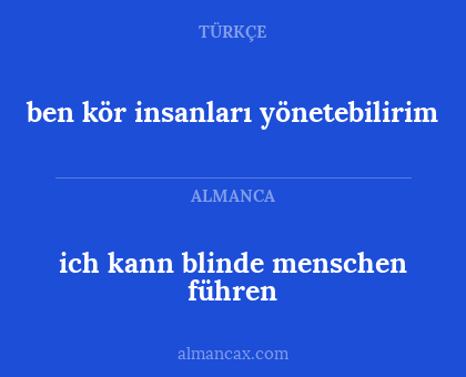 ich kann blinde menschen führen - ben kör insanları yönetebilirim