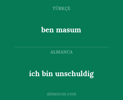 ich bin unschuldig - ben masum