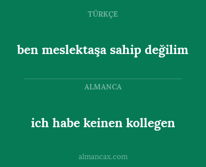 ben meslektaşa sahip değilim - ich habe keinen kollegen