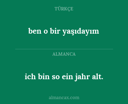 ich bin so ein jahr alt. - ben o bir yaşıdayım