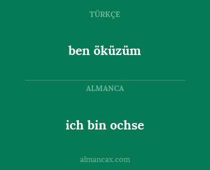 ich bin ochse - ben öküzüm