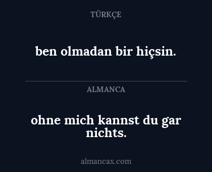 ohne mich kannst du gar nichts. - ben olmadan bir hiçsin.
