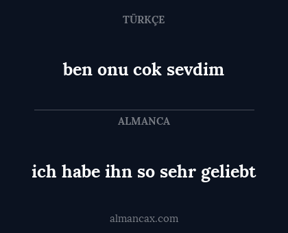 ben onu cok sevdim - ich habe ihn so sehr geliebt