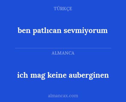 ben patlıcan sevmiyorum - ich mag keine auberginen