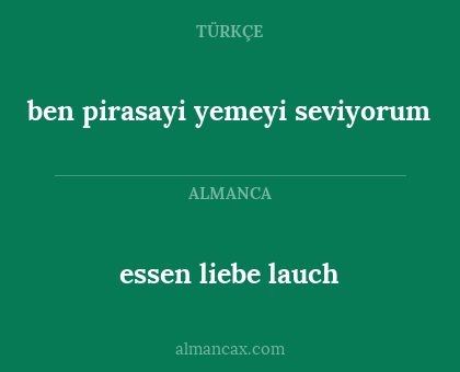 essen liebe lauch - ben pirasayi yemeyi seviyorum