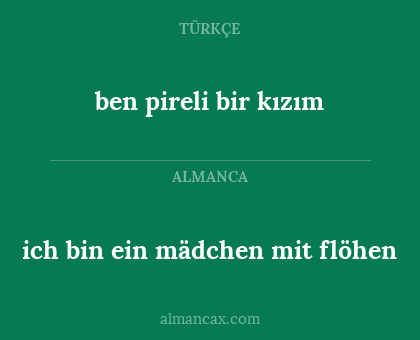 ich bin ein mädchen mit flöhen - ben pireli bir kızım
