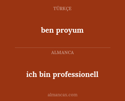ich bin professionell - ben proyum
