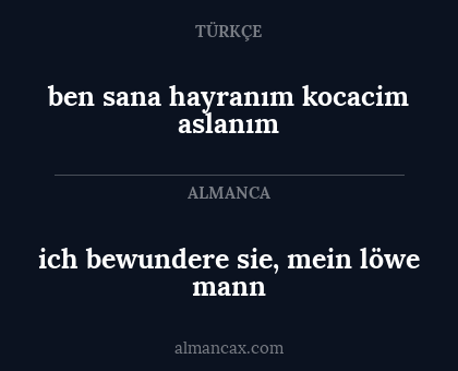 ich bewundere sie, mein löwe mann - ben sana hayranım kocacim aslanım