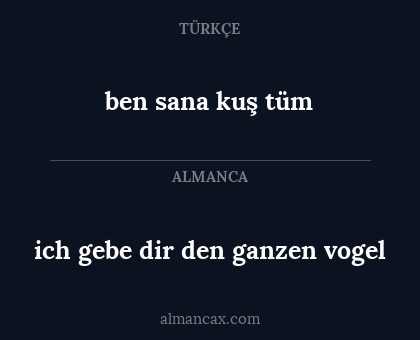 ich gebe dir den ganzen vogel - ben sana kuş tüm