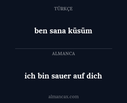 ich bin sauer auf dich - ben sana küsüm
