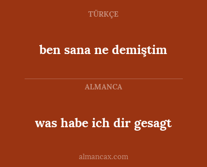 was habe ich dir gesagt - ben sana ne demiştim