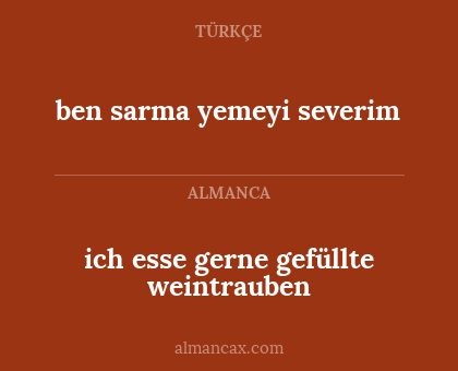 ich esse gerne gefüllte weintrauben - ben sarma yemeyi severim