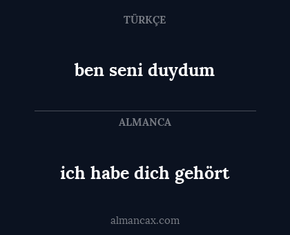 ben seni duydum - ich habe dich gehört