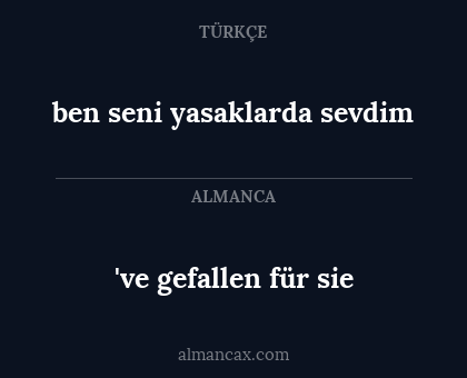 've gefallen für sie - ben seni yasaklarda sevdim