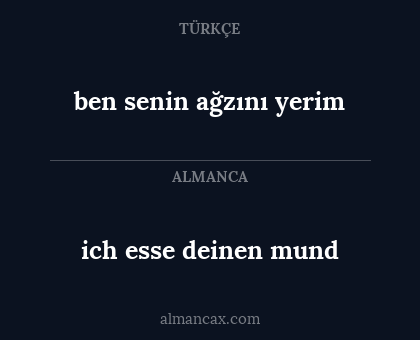 ben senin ağzını yerim - ich esse deinen mund