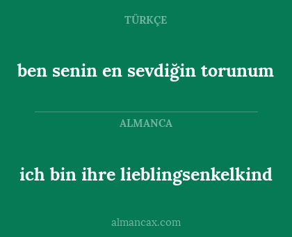 ich bin ihre lieblingsenkelkind - ben senin en sevdiğin torunum