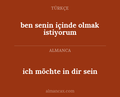 ich möchte in dir sein - ben senin içinde olmak istiyorum
