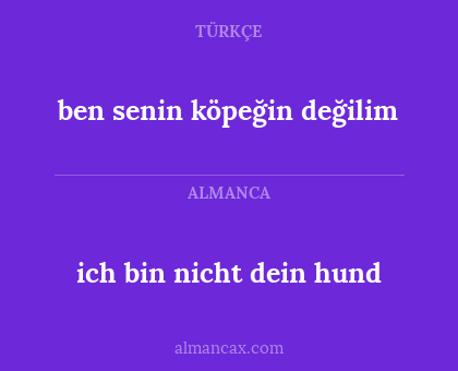 ich bin nicht dein hund - ben senin köpeğin değilim