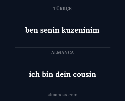 ich bin dein cousin - ben senin kuzeninim