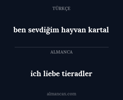 ich liebe tieradler - ben sevdiğim hayvan kartal