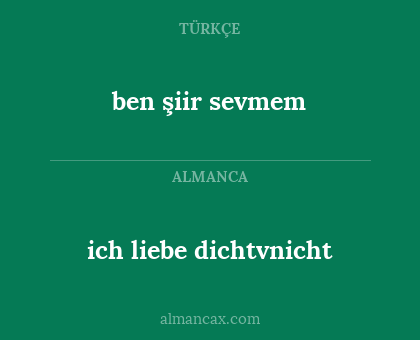 ich liebe dichtvnicht - ben şiir sevmem