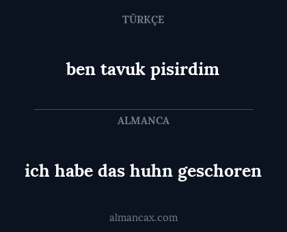 ben tavuk pisirdim - ich habe das huhn geschoren