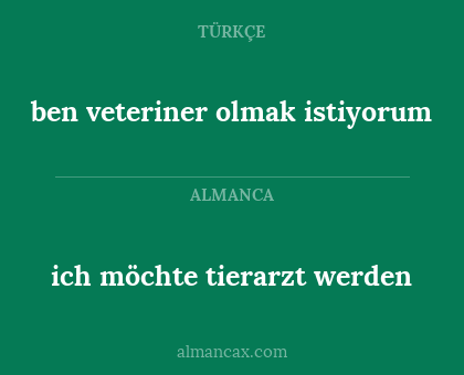 ich möchte tierarzt werden - ben veteriner olmak istiyorum