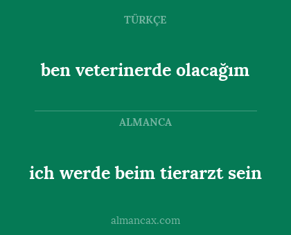 ich werde beim tierarzt sein - ben veterinerde olacağım