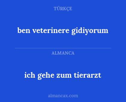 ich gehe zum tierarzt - ben veterinere gidiyorum