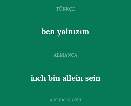 i̇ch bin allein sein - ben yalnızım