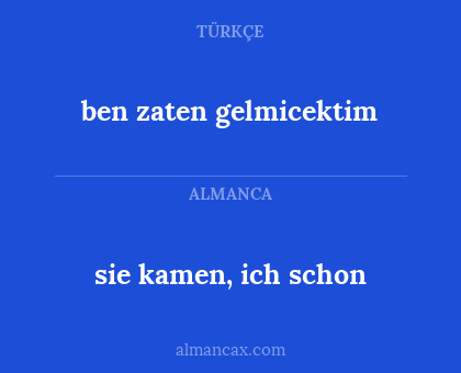 ben zaten gelmicektim - sie kamen, ich schon