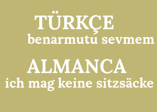 benarmutu+sevmem-ich+mag+keine+sitzs%C3%A4cke.png