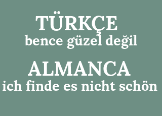 bence+g%C3%BCzel+de%C4%9Fil-ich+finde+es+nicht+sch%C3%B6n.png