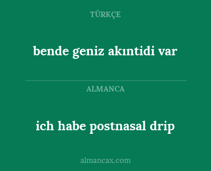 ich habe postnasal drip - bende geniz akıntidi var